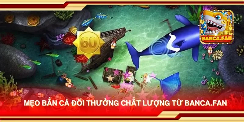 Mẹo bắn cá đổi thưởng chất lượng từ lloydsactionnow.com