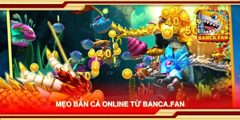 Mẹo bắn cá online từ lloydsactionnow.com