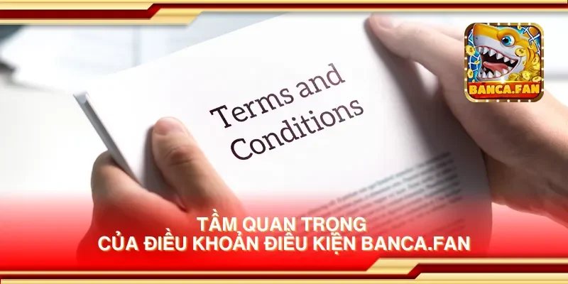 Tầm quan trọng của điều khoản điều kiện lloydsactionnow.com